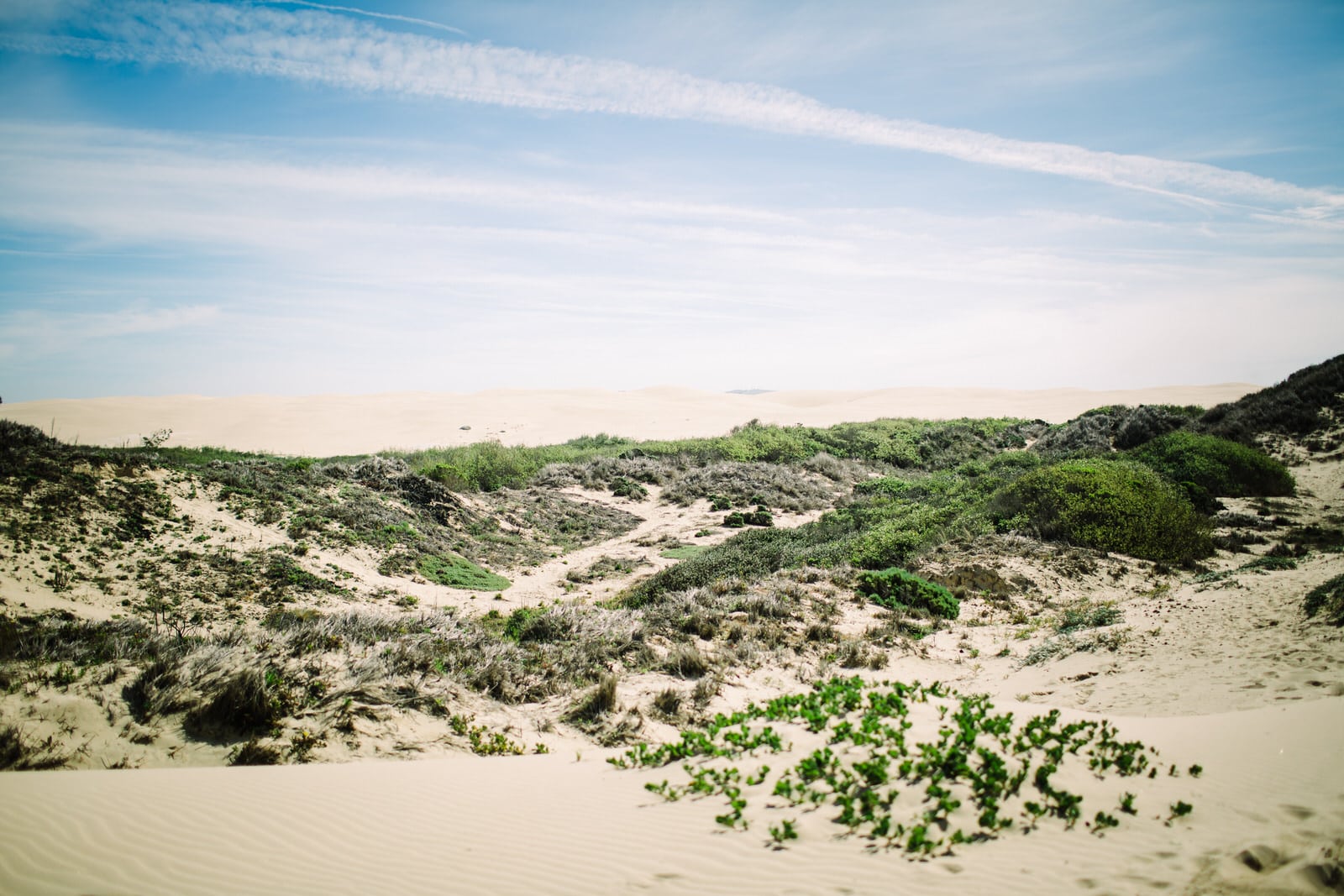 Oceano sand dunes engagement
