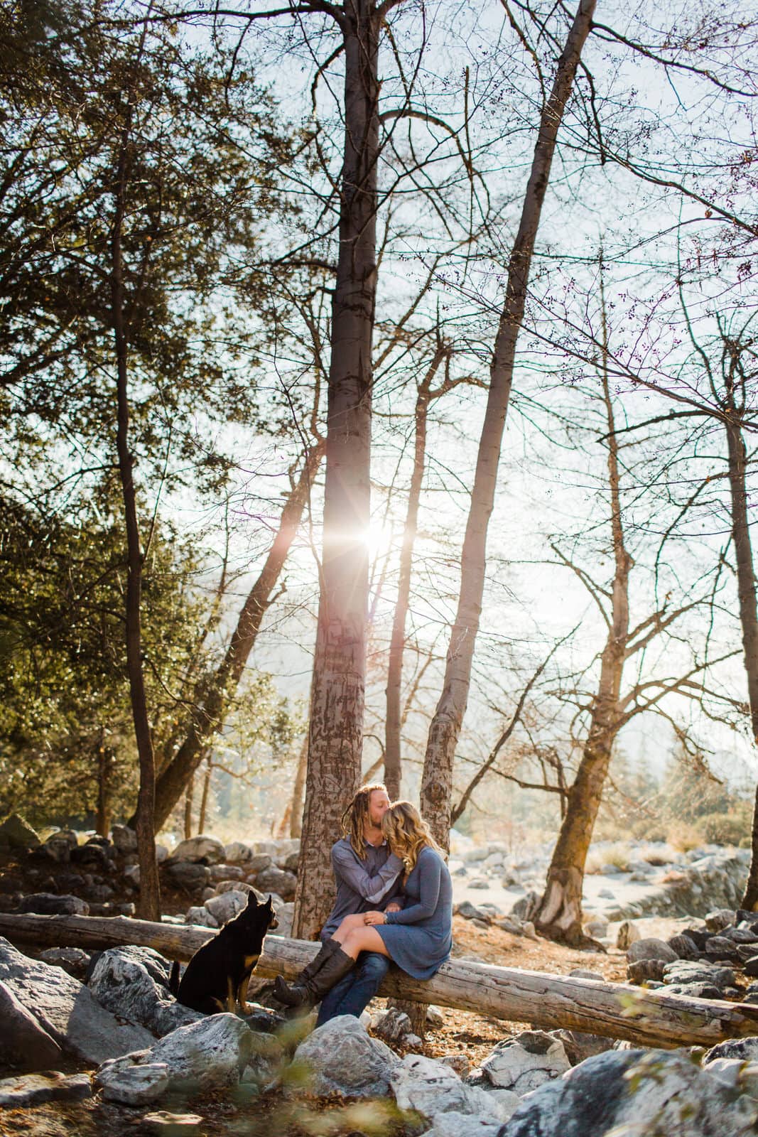 snowy-forest-falls-engagement