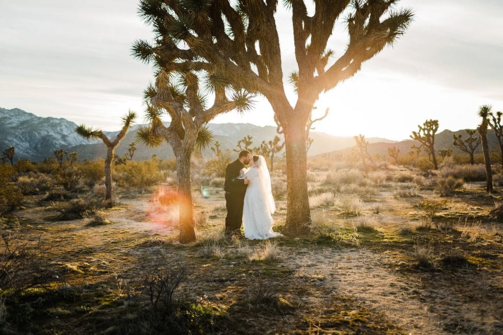 Joshua Tree wedding desert wedding California photographer