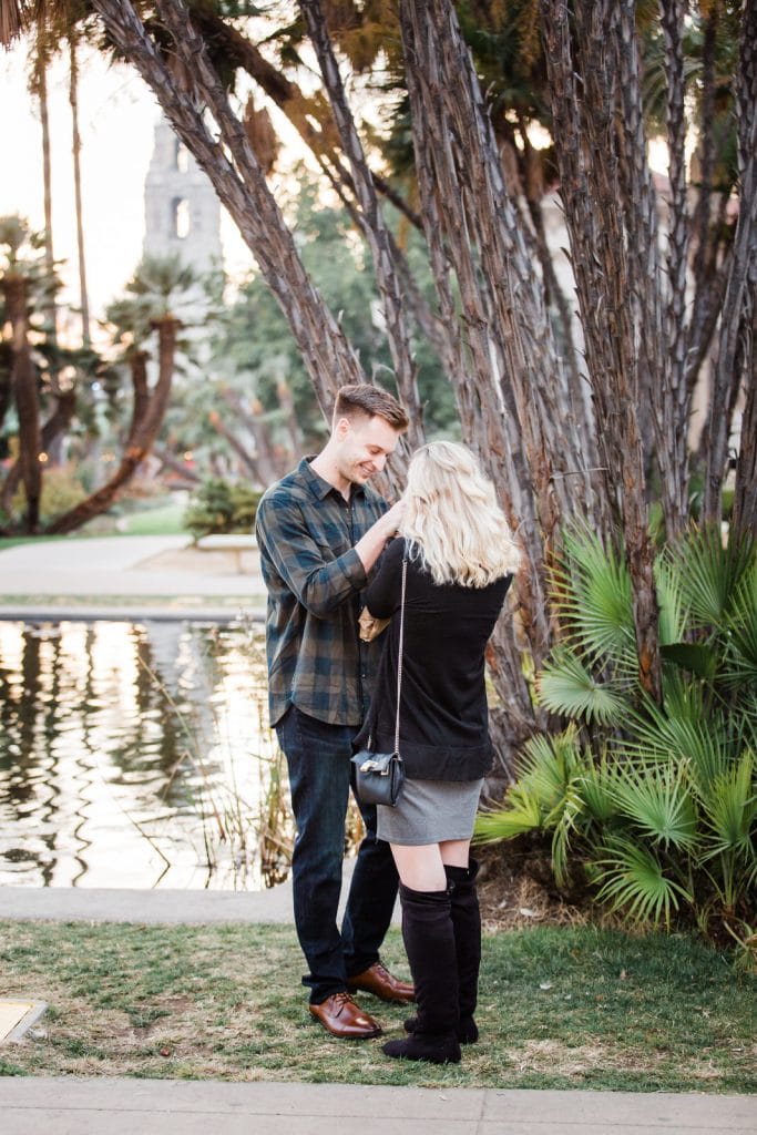 San Diego
Balboa Park
Christmas Proposal
