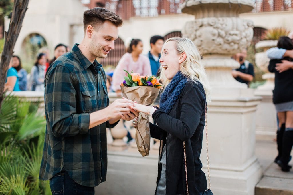 San Diego
Balboa Park
Christmas Proposal