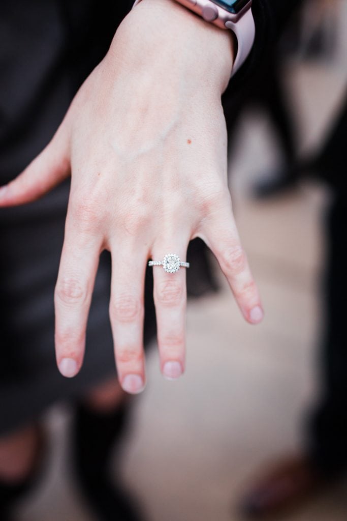 San Diego
Balboa Park
Christmas Proposal