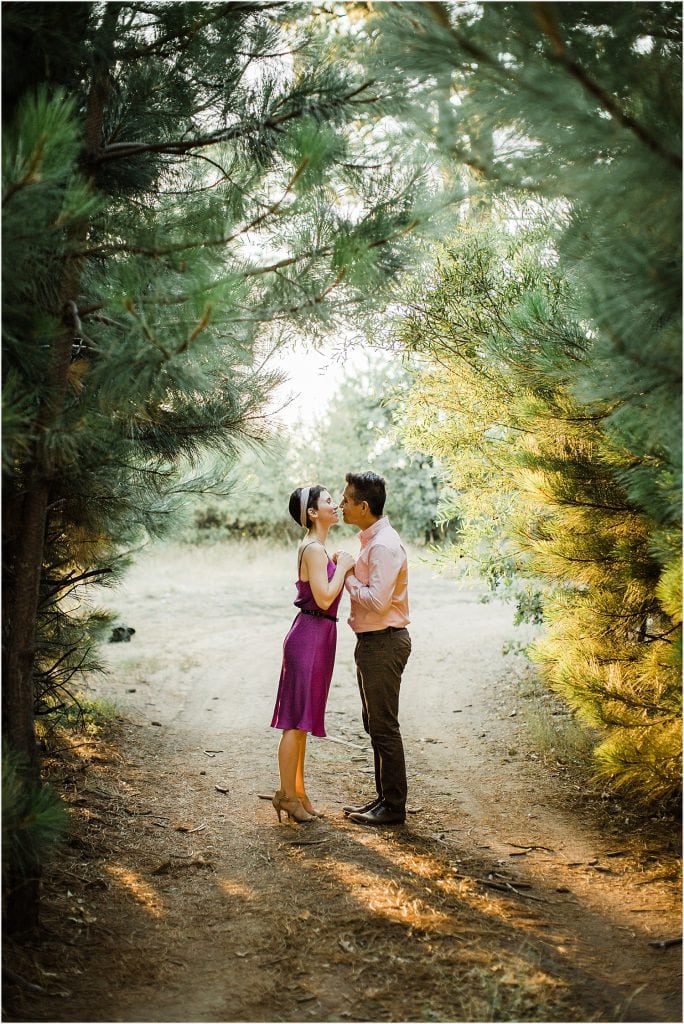 Lake-Arrowhead-engagement-Lake-Gregory-engagement-Running-Springs-Engagement-Mountain-engagement-Mountain-wedding-Mountain-photographer