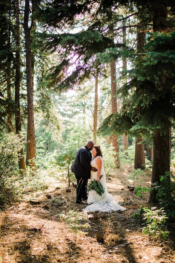 Lake-Arrowhead-elopement-Twin-peaks-micro-wedding-mountain-elopement-Big-Bear-Lake-Gregory-San-Bernardino-Mountains-Elopement-photographer