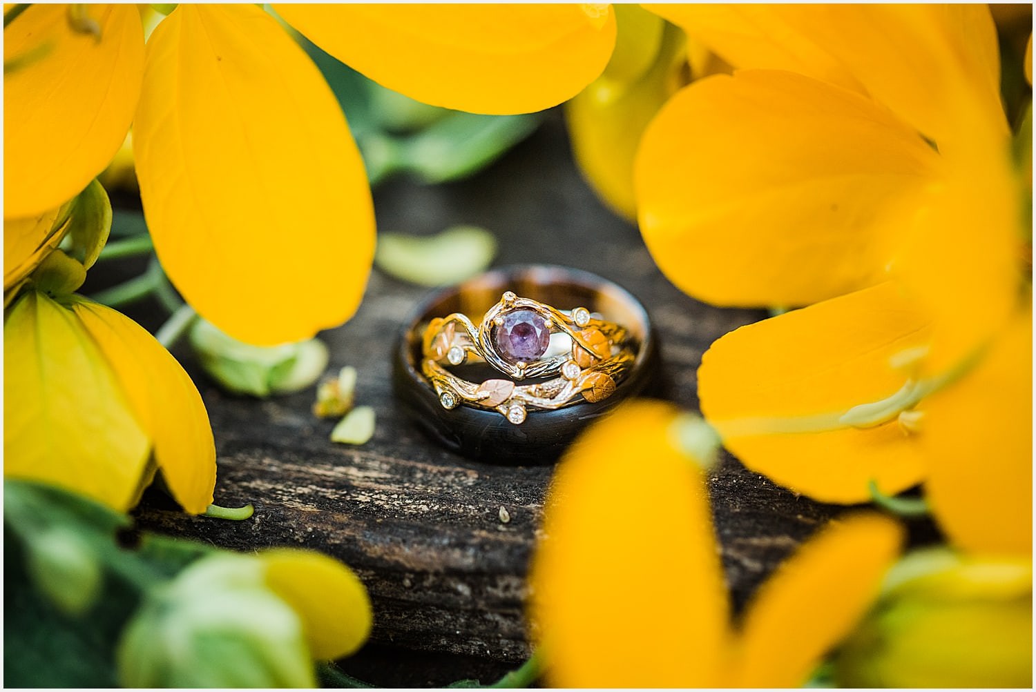 Southern-California-Elopement-Backyard-wedding-Garden-wedding-Garden-Elopement-Elopement-photographer-Huntington-Beach-Elopement