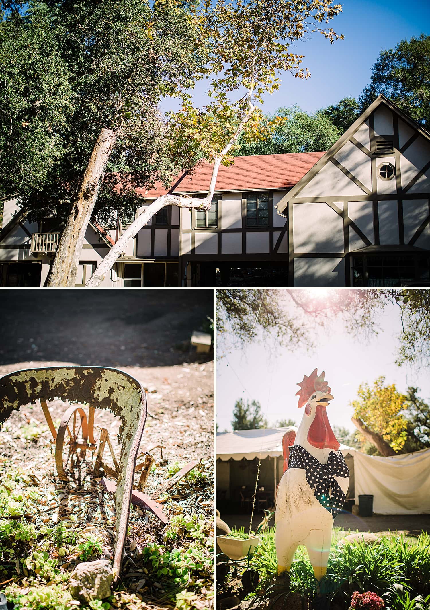 Rancho Santa Margarita ranch wedding