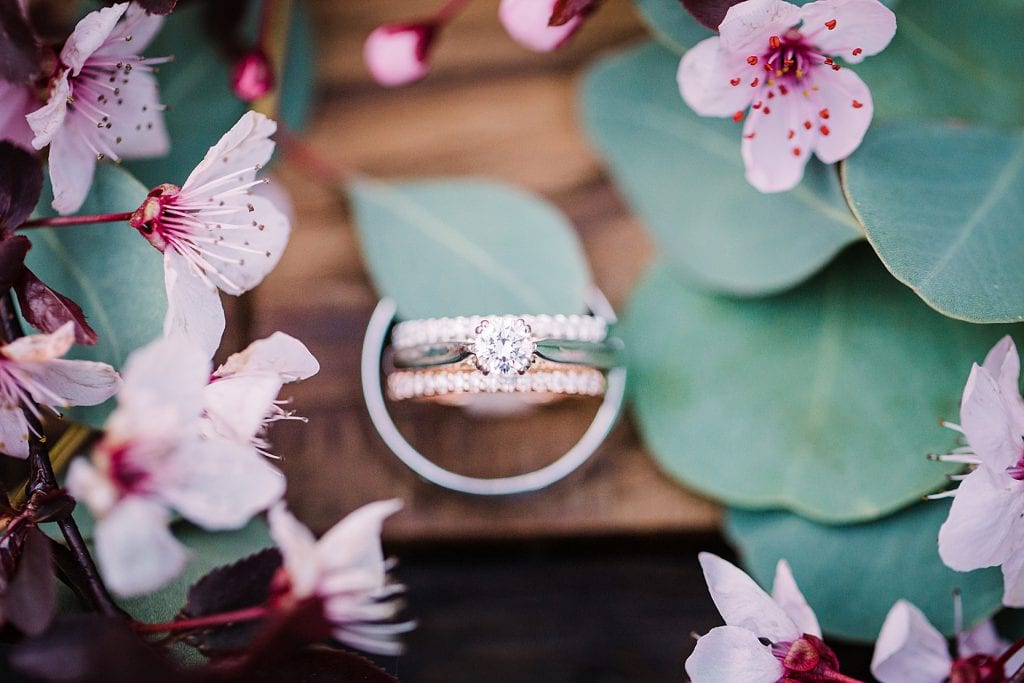 Wedding rings in cherry blosoms