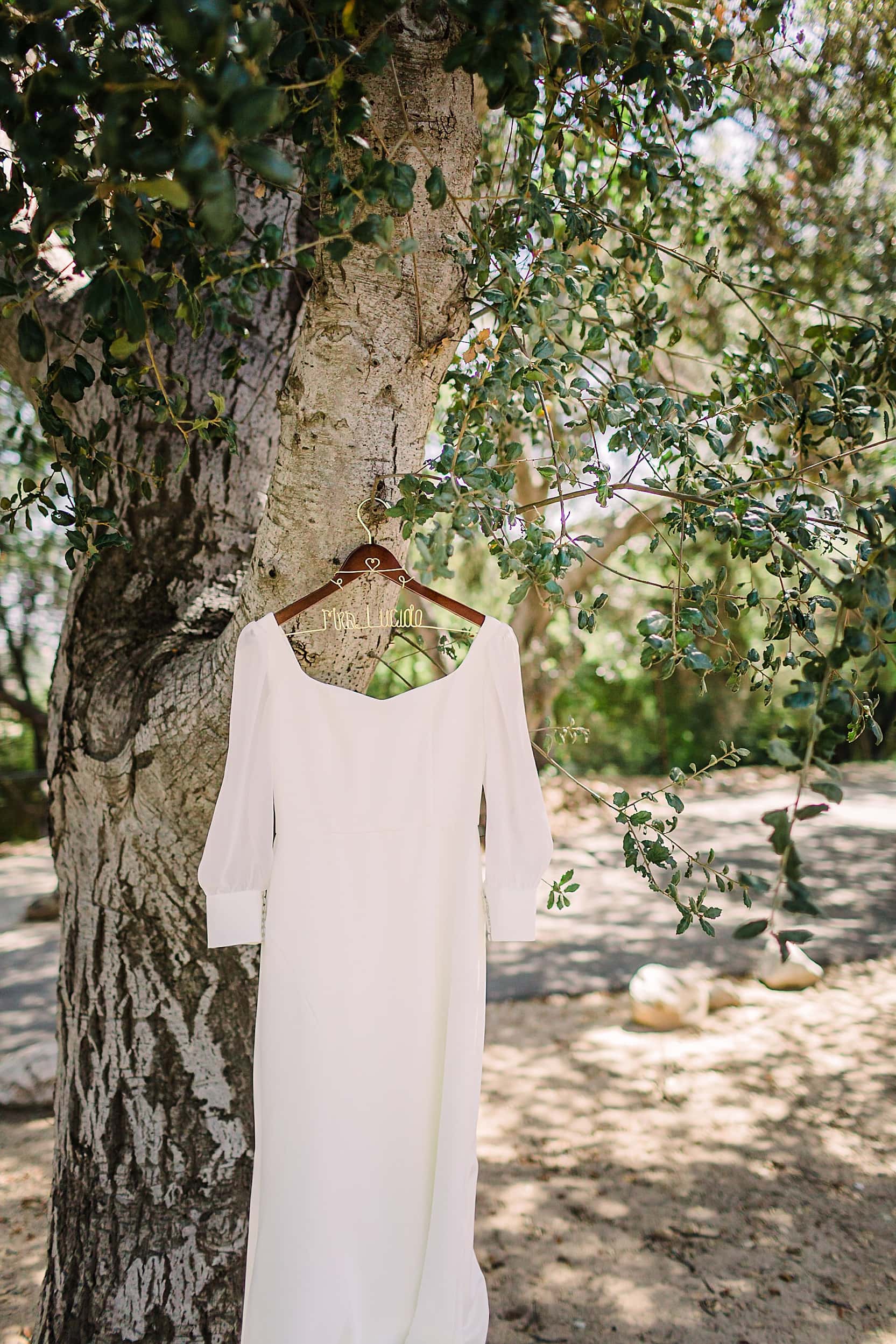 Wedding dress hanging from tree in botanical garden