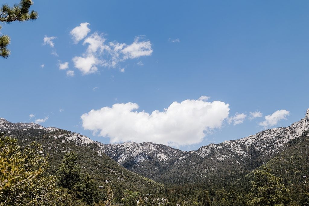 Idyllwild-wedding-elopement-mountain-wedding-pine-cove-southern-california-adventure-wedding-adventure-elopement