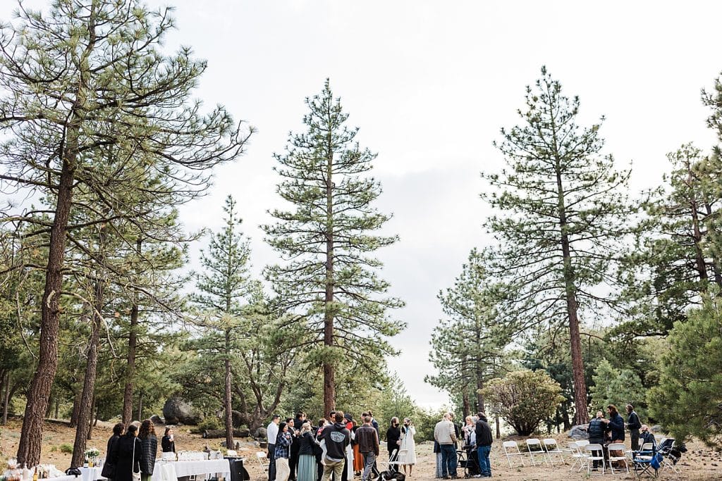 Idyllwild-wedding-elopement-mountain-wedding-pine-cove-southern-california-adventure-wedding-adventure-elopement