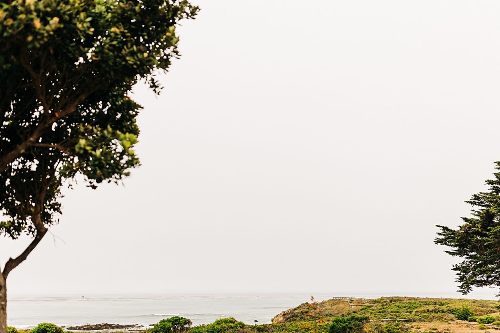 Cambria-Pines-lodge-wedding-moonstone-beach-wedding-cambria-morro-bay-san-luis-obispo-central-california-wedding-photographer