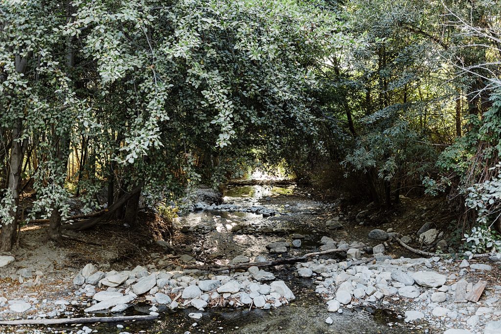 Lytle-creek-wedding-hidden-acres-wedding-mountian-wedding-lake-arrowhead-big-bear-oak-glen-wedding-idyllwild-california-mountain-wedding-brunch-wedding-hidden-acres-engagement