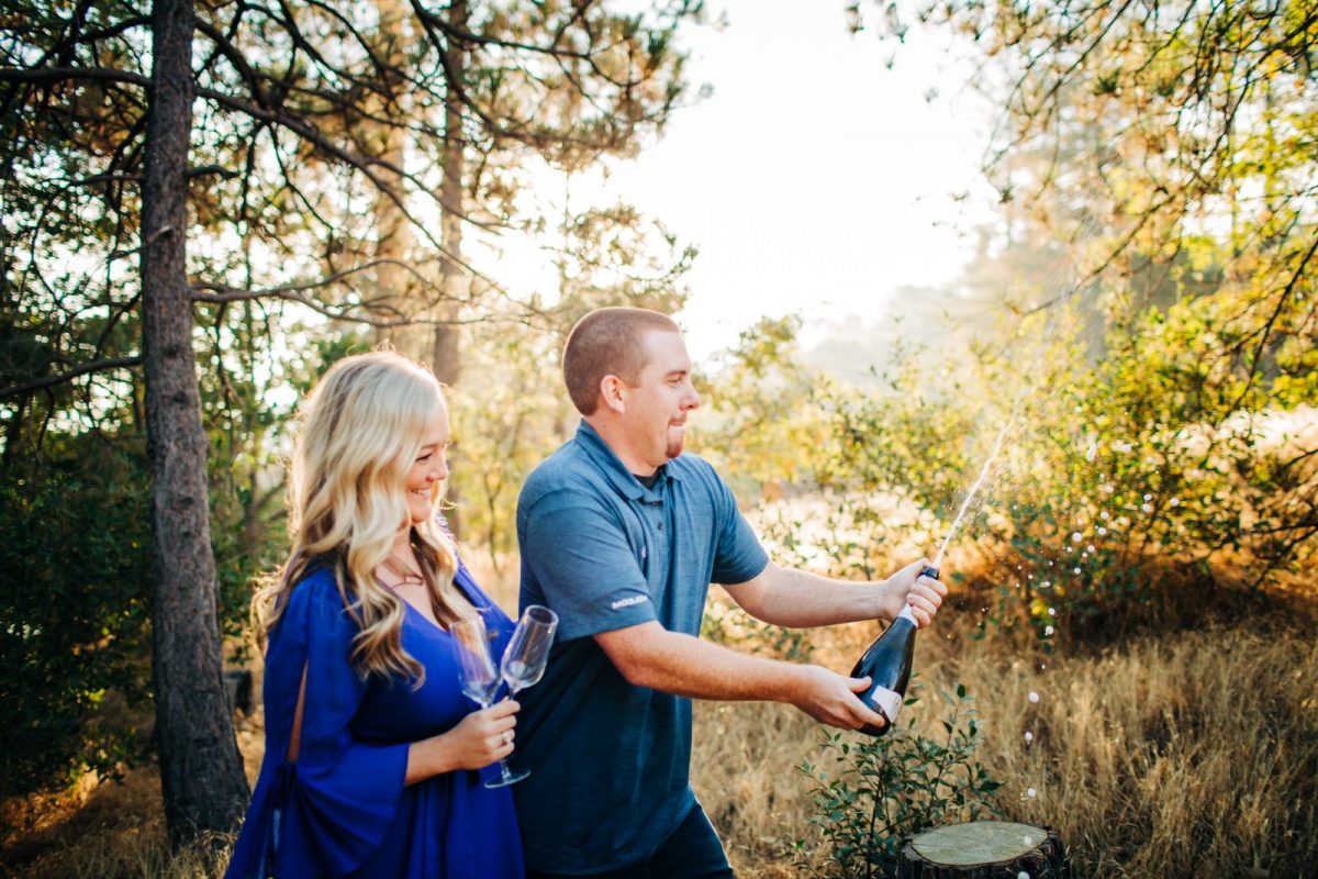 Lake-arrowhead-engagement-champaign