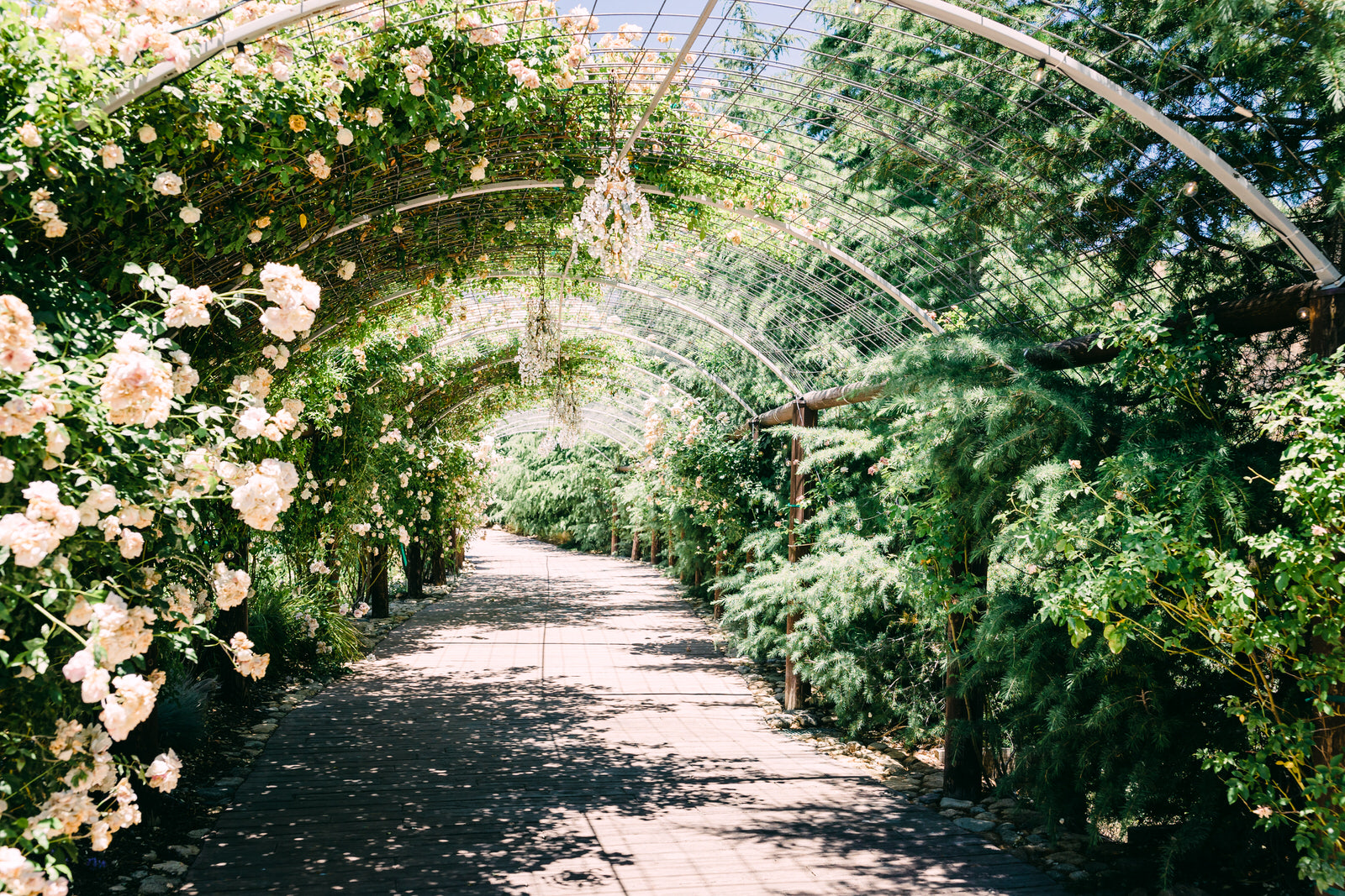 Serendipity-gardens-wedding-venue-oak-glen