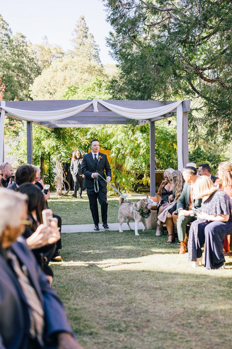 Groom and dog walking up aisle Millers Landing Lake Arrowhead