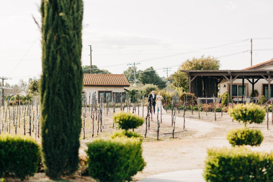 Avensole winery spring wedding