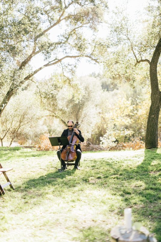 Cello player at wedding