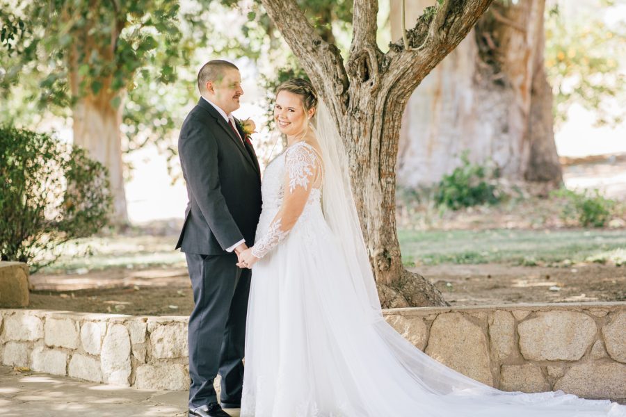 First look at coy pond