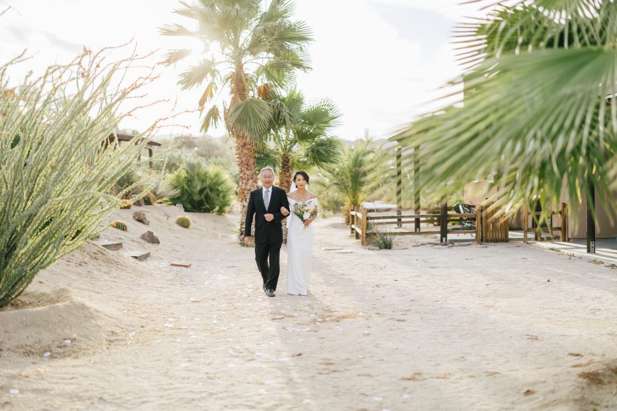 Intimate Joshua Tree Wedding