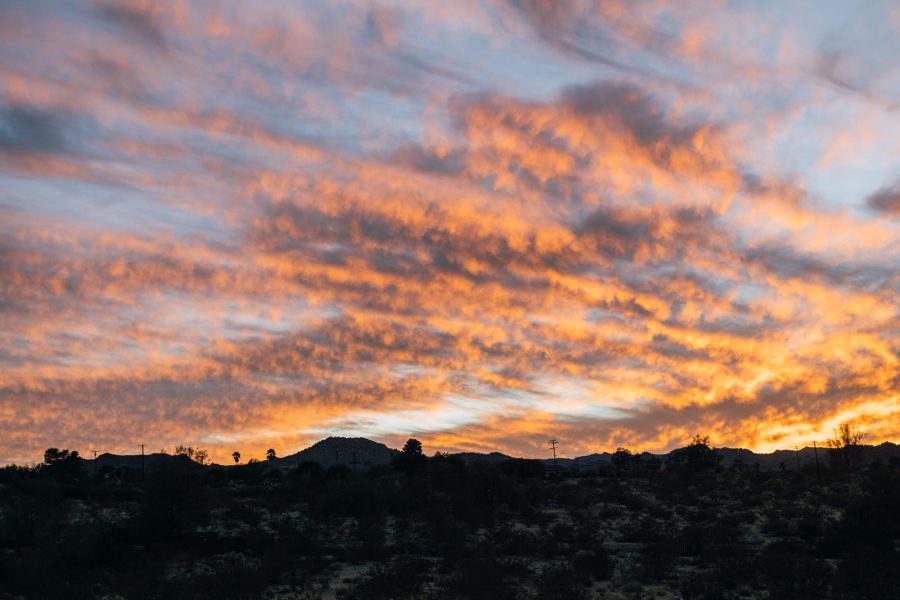 Joshua Tree Elopement