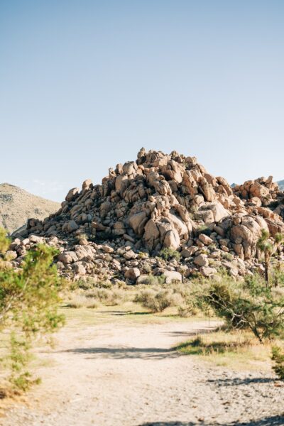 Joshua Tree elopement