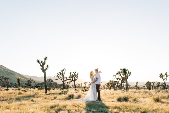 Joshua Tree elopement