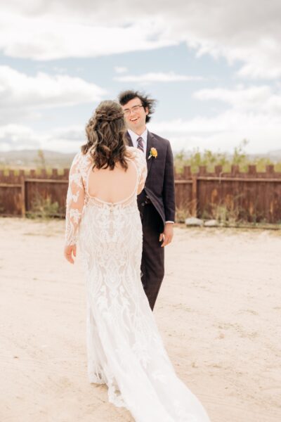 Hicksville trailer palace Joshua tree