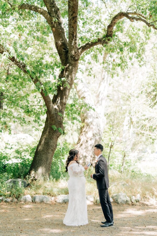 First look at the homestead spring wedding