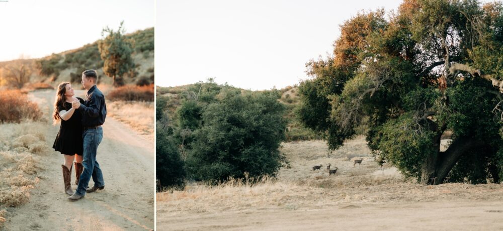 Oak Glen wildwood Canyon Engagement
