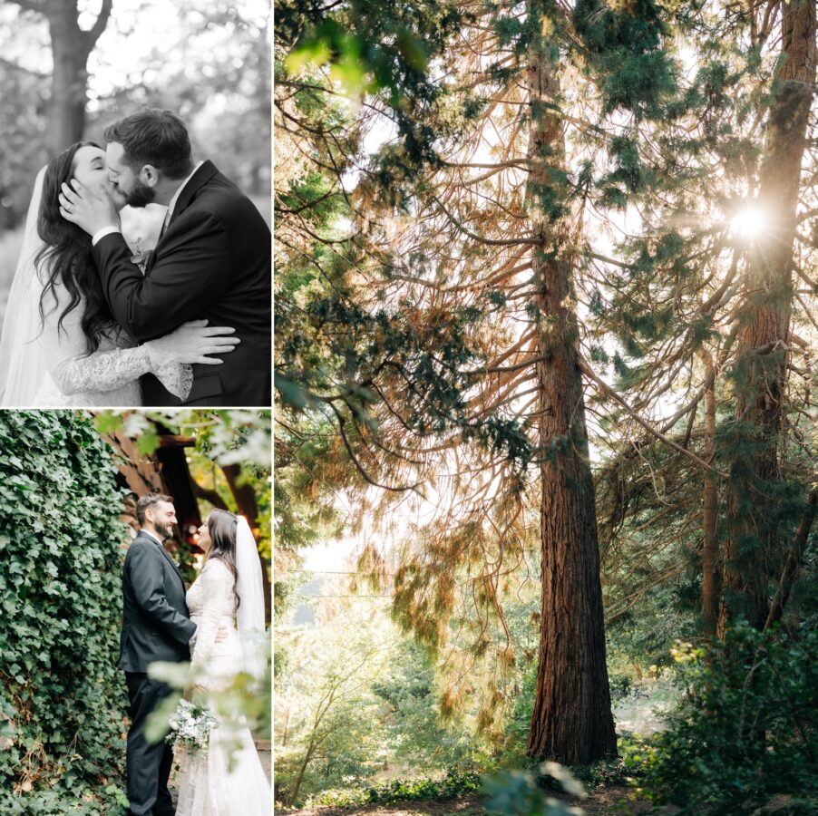 Willow-Woods-Fall-Wedding-Skyforest