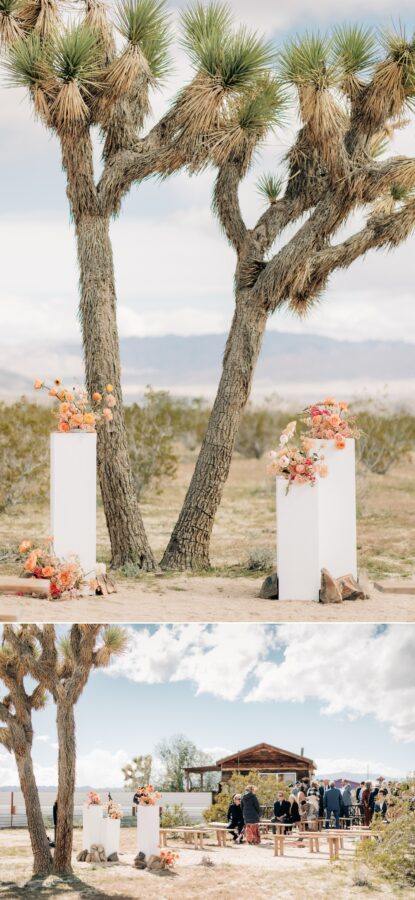 Hicksville trailer palace Joshua tree wedding ceremony site