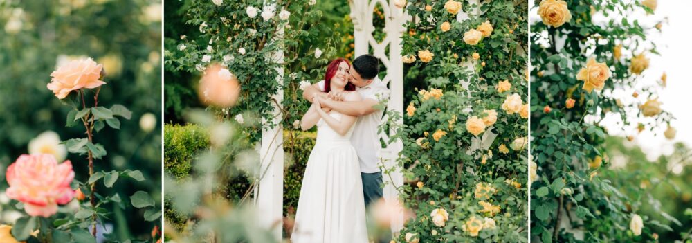 Rose Garden engagement