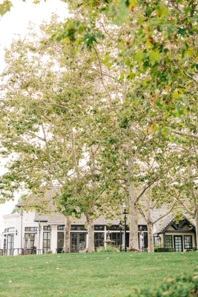 The Summit House Fullerton