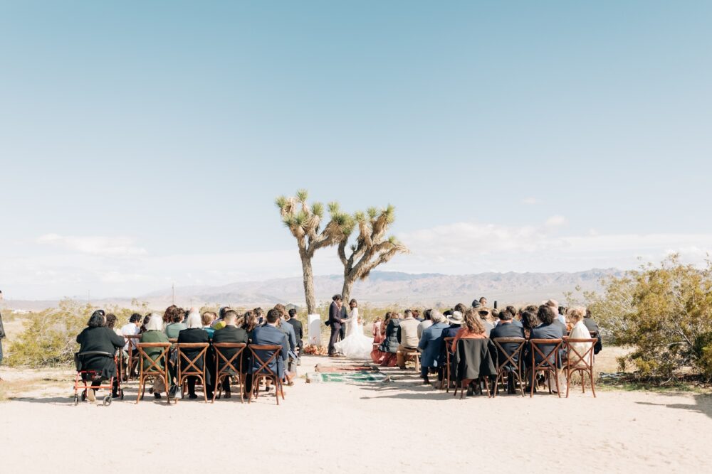Hicksville trailer palace Joshua tree