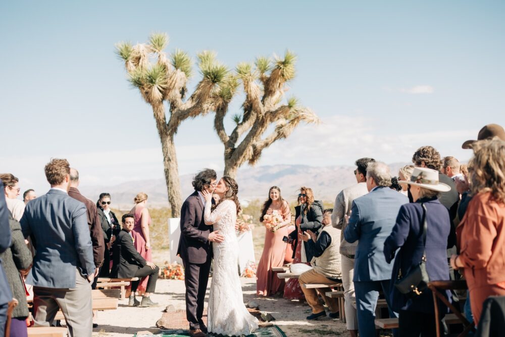 Hicksville trailer palace Joshua tree