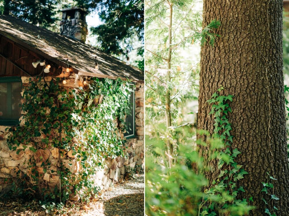Willow-Woods-Fall-Wedding-Skyforest