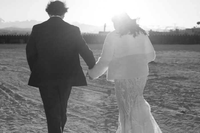 Hicksville trailer palace Joshua tree wedding